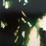 Kunstlotterie Yala Juchmann, Foto Enrico Thomas