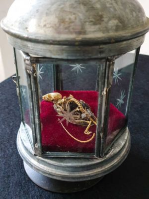 Ulrich Gunreben, "MAUSOLEUM", Knochen, Samt, Glas, Metall, 25 x 12 x 12 cm (h,b,t), Foto: privat