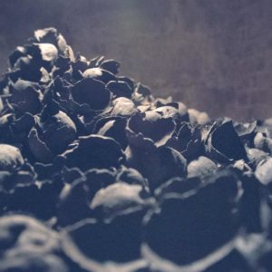 Aneh Ondare, Heimhäutung (Asche I) - Detailansicht, 2019, Foto: Aneh Ondare