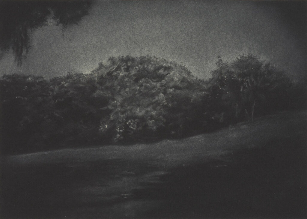 Catalina Pabón, thought off 4, 2008, pastel on paper, 29,5x42 cm