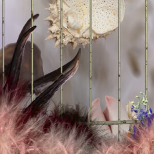 Still Halten, 2024, Abbildung © Christina Paetsch